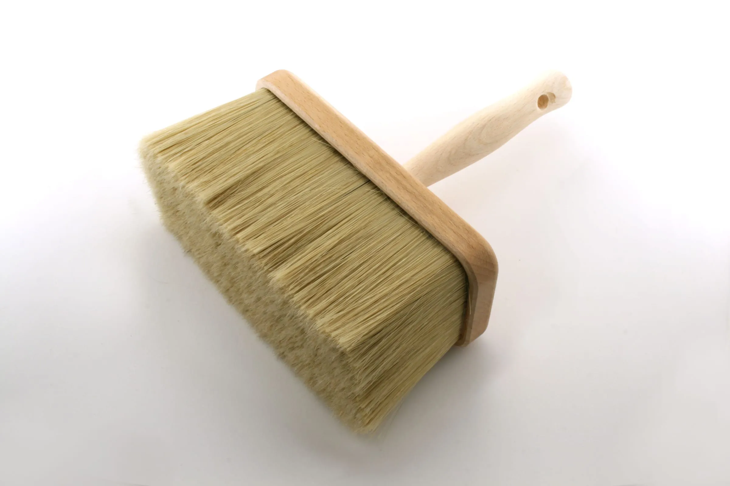 Pędzel ławkowiec eksportowy